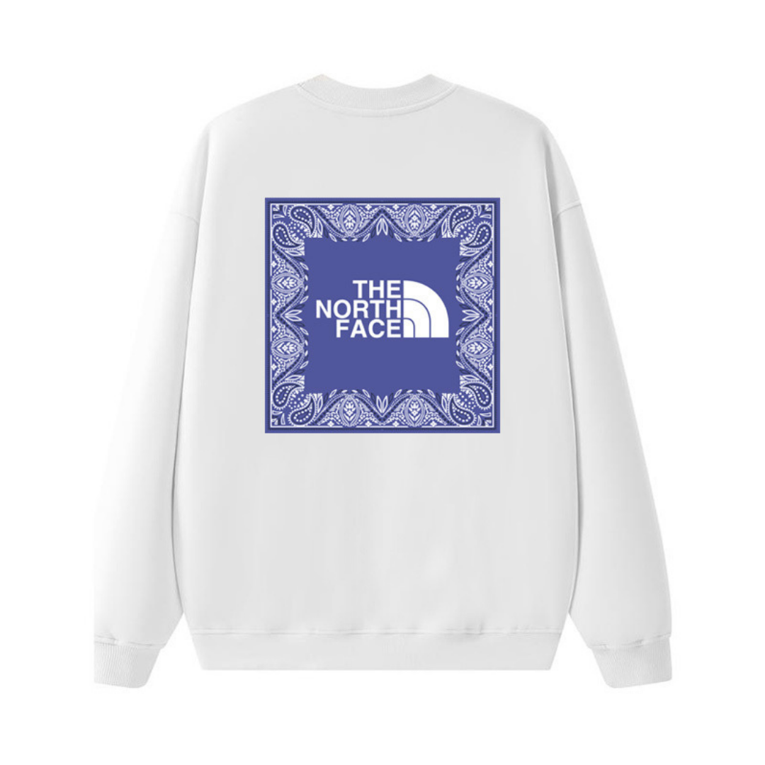 Tnf Monochromatic Hoodie