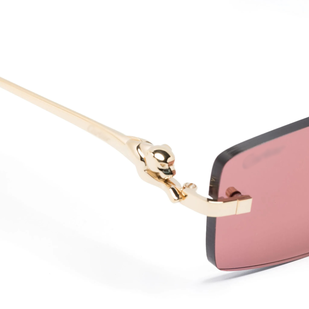 Monochromatic Sunglasses